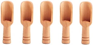 GENERIC 5/10pcs/set Mini Salt Spoons Wooden Scoop Coffee Tea Scoops Honey Coffee Condiment Salt Sugar Tea Spoon(5pcs)