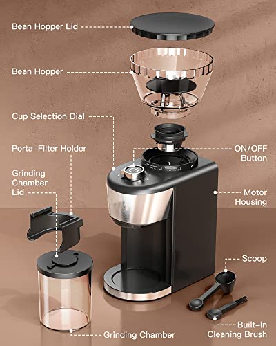  Conical Burr Coffee Grinder 35 Grind Settings 2-12 Cups Electric Burr Coffee Grinder For Espresso, Drip, Pour Over And French Press Coffee