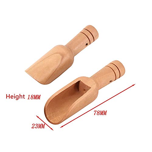 GENERIC 5/10pcs/set Mini Salt Spoons Wooden Scoop Coffee Tea Scoops Honey Coffee Condiment Salt Sugar Tea Spoon(5pcs)