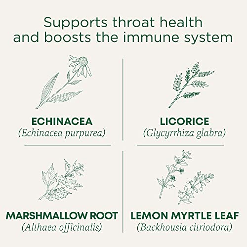  Organic Throat Coat Lemon Echinacea Seasonal Tea, 16 Count (Pack Of 6)