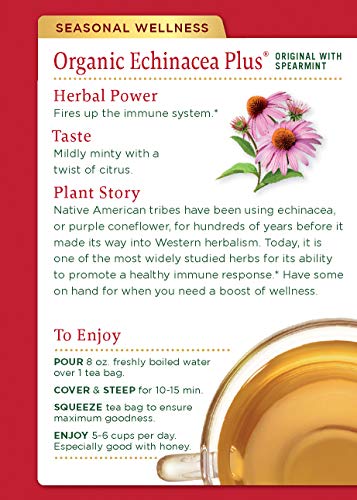  Organic Echinacea Plus Seasonal Tea, 16 Ct