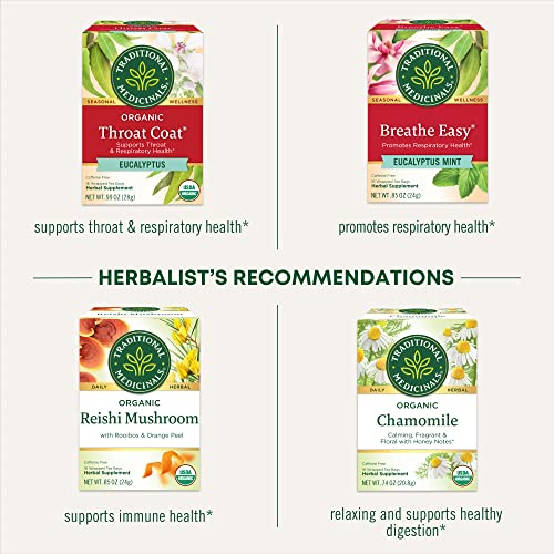  Gypsy Cold Care Seasonal Tea With Elderflower Spice, 16 Tea Bags(Pack Of 6)