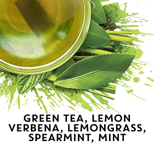 Tazo® Azo Tea Bags For An Calming Beverage Green Tea Moderately Caffeinated Tea 20 Tea Bags