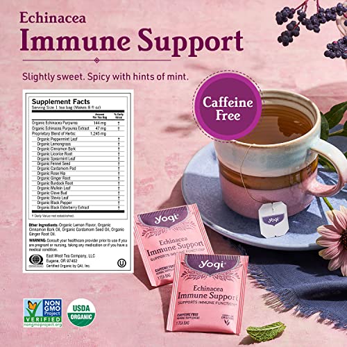  Tea - Get Well Variety Pack Sampler (6 Pack) - Herbal Teas For Cold And Flu Symptom Support - Caffeine Free - 96 Organic Herbal Tea Bags