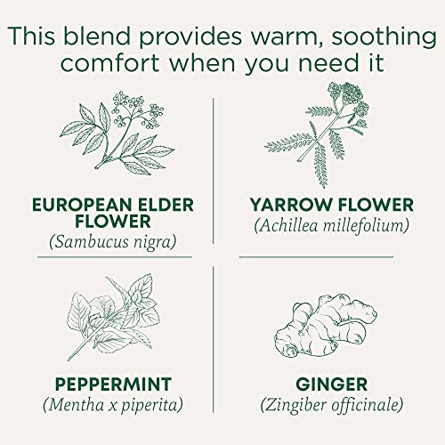  Gypsy Cold Care Seasonal Tea With Elderflower Spice, 16 Tea Bags(Pack Of 6)
