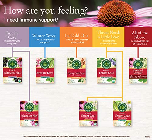  Organic Echinacea Plus Seasonal Tea, 16 Ct