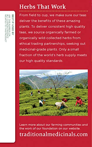  Organic Echinacea Plus Seasonal Tea, 16 Ct