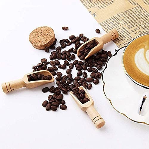 GENERIC 5/10pcs/set Mini Salt Spoons Wooden Scoop Coffee Tea Scoops Honey Coffee Condiment Salt Sugar Tea Spoon(5pcs)