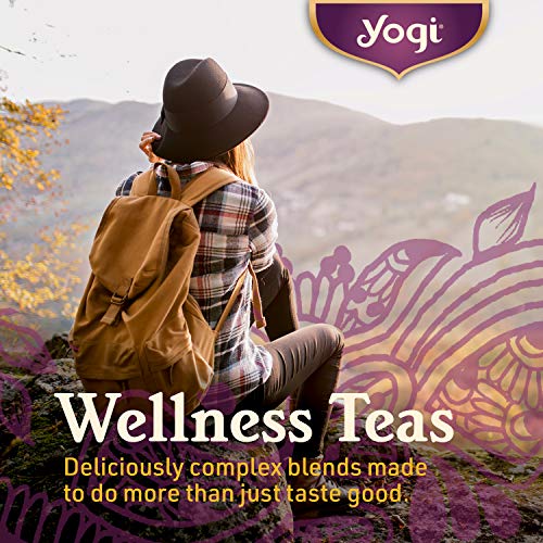 Tea - Green Tea Super Antioxidant (4 Pack) - Supports Overall Health With Licorice Root, Lemongrass, And Jasmine - Contains Caffeine - 64 Organic Green Tea Bags