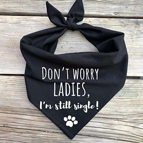 GENERIC Engagement Dog Bandanas Wedding Don’t Worry Ladies, I’m Still Single Funny Fun Black (X-Large)