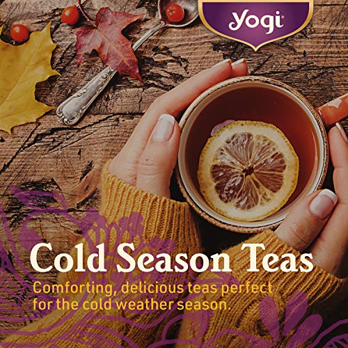  Tea - Throat Comfort (4 Pack) - Soothes The Throat With Wild Cherry Bark, Licorice Root, Mullein, And Ginger - Caffeine Free - 64 Organic Herbal Tea Bags